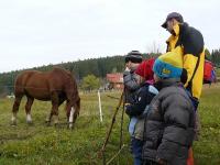 odborný výklad od odborníka