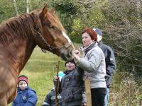 Iveta to s koňmi umí